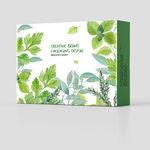 绿色小清新叶子包装盒设计