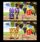 采摘园 葡萄熟了