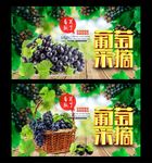 采摘园 葡萄采摘
