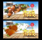 杏饯 采摘园