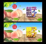 桃子 采摘园