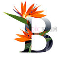 B英文字母