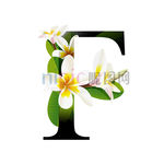 F英文字母