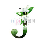 J英文字母
