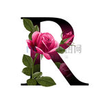 R英文字母