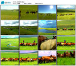 蓝天河流草原马群牧马影视背景