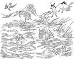 山海经