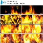 火凤凰凤舞九天舞台演出LED