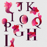 花纹花朵创意字母字体设计