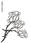 矢量玫瑰花