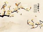 室雅兰香玉兰花