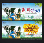 奶牛
