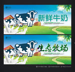 牛奶