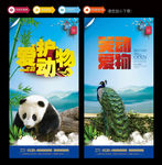 爱护动物