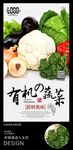 有机蔬菜环保健康海报