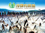 巨网捕鱼广告图
