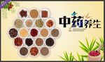 中药养生