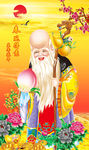 老寿星