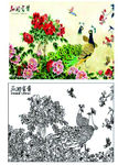 孔雀牡丹