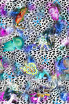 海底生物水母乌贼海星豹纹印花图