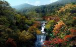 山上小溪小屋景观效果图