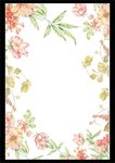 花纹 边框 手绘