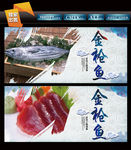 金枪鱼