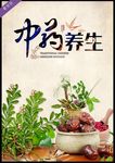 中药养生