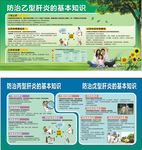 乙肝炎宣传板报