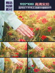 美女轻抚花丛高清实拍视频素材