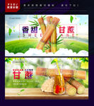 甘蔗