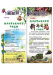 葡萄展架