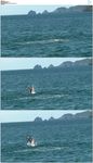 海滩大海游泳跳跃