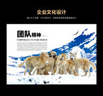 团队