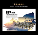 团队