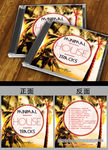 夏季音乐CD封面设计