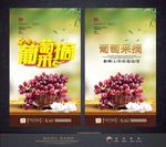 葡萄