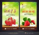 草莓