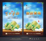 青梅 话梅