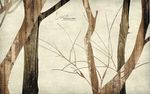 5d北欧简约创意木板树林