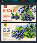 蓝莓