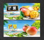芒果