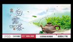 白露茶