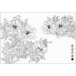 牡丹花