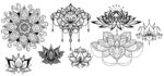 荷花  花纹 图腾