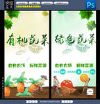 绿色蔬菜海有机蔬菜 清新促销