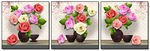 手绘花卉无框画