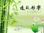 宁静致远荷花竹子
