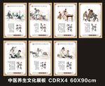 中医展板  中医养生  养生文