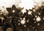 黑色抽象花纹